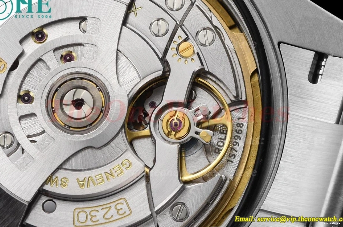 Black Explorer 40mm SS VS3230 224270 SS Dial VSF I 0129